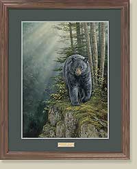 Rocky Outcrop-Black Bear by Rosemary Millette